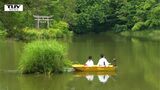 神秘的 風が無くとも水面を動く島「大沼の浮島」名勝指定100周年(山形) | 山形のニュース│TUYテレビユー山形