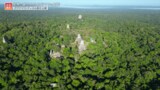 マヤ文明最大級の都市を襲った異変！新発見が相次ぐ巨大な古代都市遺跡【世界遺産／ティカル国立公園（グアテマラ）】|TBS NEWS DIG