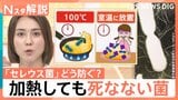 “チャーハン症候群”にご注意! においや味で見分け困難…熱に強い食中毒菌 対策は?【Nスタ解説】|TBS NEWS DIG