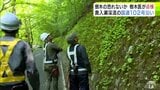 「奥入瀬渓流」国道沿いで倒木の恐れがないかなどを樹木医が確認　点検作業はじまる　危険と判断された木は紅葉シーズン前までに伐採予定　青森県十和田市　|　青森のニュース│ATV NEWS│青森テレビ
