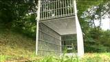 ハチミツで誘き寄せるクマ捕獲作戦 宮城県が2026年度390頭の捕獲目指す 宮城・川崎町 | 宮城のニュース│tbc NEWS│tbc東北放送