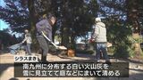 都城地方の伝統行事「シラスまき」　火山灰を雪に見立てる|TBS NEWS DIG