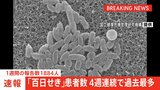 【速報】「百日せき」全国の1週間の報告数1884人 4週連続過去最多|TBS NEWS DIG