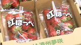今季初のイチゴ出荷　県内のトップ切り始まる　暑さの影響で少し小ぶり=静岡・掛川市　|　静岡のニュース | SBSNEWS | 静岡放送
