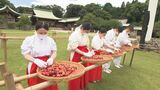 県護国神社で梅の土用干し始まる 大分 | 大分のニュース|OBS NEWS|大分放送