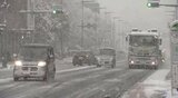 長野県内各地で積雪…軽井沢23センチ、諏訪6センチ、飯田4センチ 線路脇の竹倒れ特急「しなの」運休などの影響も|TBS NEWS DIG