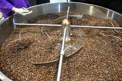 コーヒーのロブスタ種、10カ月ぶり安値－ベトナムなど供給増が影響| TBS CROSS DIG with Bloomberg