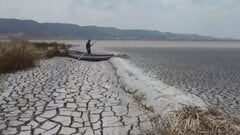 エルニーニョ現象“さらに強くなる見込み”洪水や干ばつ・猛暑リスク高まる WMO「一刻も猶予ない」各国気象機関と連携へ| TBS CROSS DIG with Bloomberg