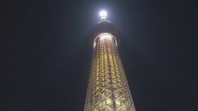 【速報】エレベーター緊急停止の東京スカイツリー あすも臨時休業 総点検と事故原因の調査で　事故受けきょう臨時休業|TBS NEWS DIG