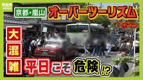 オーバーツーリズムの京都　嵐山で駐停車禁止エリアに車で大混雑　止めるドライバー「うるせえよ…あほが」車列間を歩行者が横断で危険も　困惑する地元住民|TBS NEWS DIG