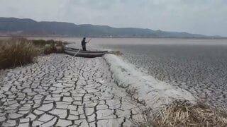 エルニーニョ現象“さらに強くなる見込み”洪水や干ばつ・猛暑リスク高まる WMO「一刻も猶予ない」各国気象機関と連携へ| TBS CROSS DIG with Bloomberg
