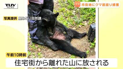 カーテンを開けたらクマ」 上山市の住宅街…あまりの近さに驚き 民家の