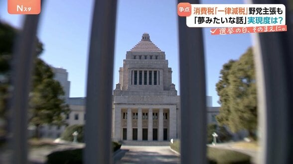 食料品の消費税「2年間ゼロ」自民・維新が“検討加速”　中道は“恒久的にゼロ”主張 「現実的ではない」懸念の声も… 議論どうなる？|TBS NEWS DIG