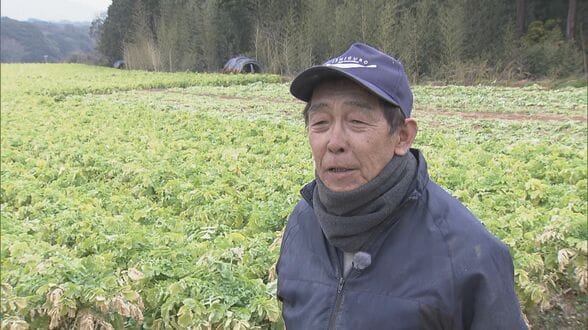 水不足深刻 久しぶりの雨は“恵みの雨”になった？豊川用水の節水続く農家 ｢作物的にはもうちょっと雨欲しかった」　|　名古屋・愛知・岐阜・三重のニュース【CBC news】 | CBC web