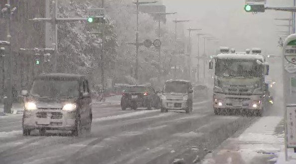長野県内各地で積雪…軽井沢23センチ、諏訪6センチ、飯田4センチ　線路脇の竹倒れ特急「しなの」運休などの影響も|TBS NEWS DIG