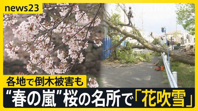 【全国で“春の嵐”】帰宅ラッシュに直撃した雨と風…各地で倒木相次ぐ 11日(土)は気温上昇…関東では夏日続出か【news23】|TBS NEWS DIG