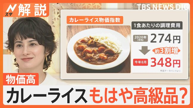 止まらない物価高…カレーライスもはや高級品？ 1食あたりの調理費用274→348円に【Nスタ解説】|TBS NEWS DIG