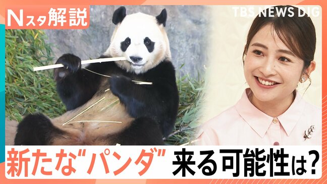 日本にパンダは再び来る?パンダ貸与は李強首相訪問時の“おみやげ”に?【Nスタ解説】|TBS NEWS DIG