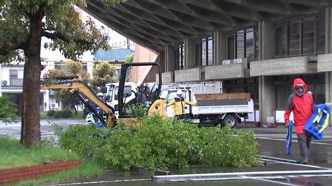 民間団体が保存を求めていた「船の体育館」の解体工事が始まる　樹木の伐採から着手【香川】|TBS NEWS DIG