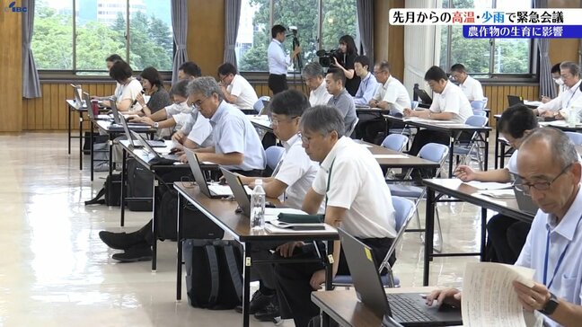 「ピーマンの身の一部が黒く変色したり、キャベツが小玉になるなどの影響　高温少雨による農作物対策連絡会議　盛岡市|TBS NEWS DIG