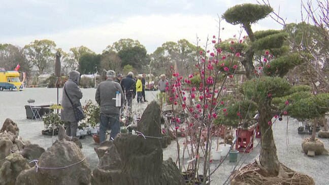 「花の種類が多い」「年1回の私の楽しみ」　”植木まつり”開催　ウメ・サクラなど約1000種類10万本を展示販売　福岡県久留米市|TBS NEWS DIG