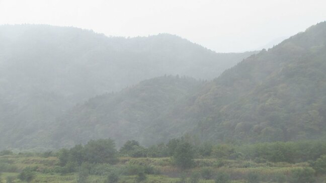 山梨県内は警報級の大雨の恐れなし　12日夕方にかけ落雷や突風、ひょうに注意|TBS NEWS DIG