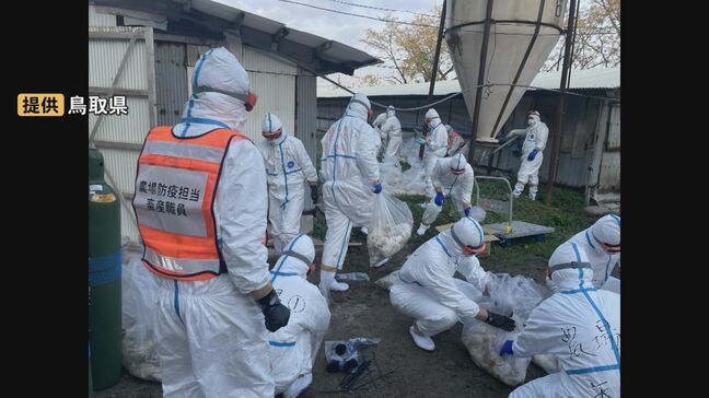 鳥インフルエンザ発生で…ニワトリ7万5000羽の殺処分完了　米子市内の養鶏場|TBS NEWS DIG