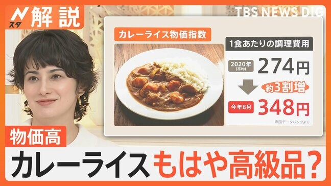 止まらない物価高…カレーライスもはや高級品? 1食あたりの調理費用274→348円に【Nスタ解説】|TBS NEWS DIG
