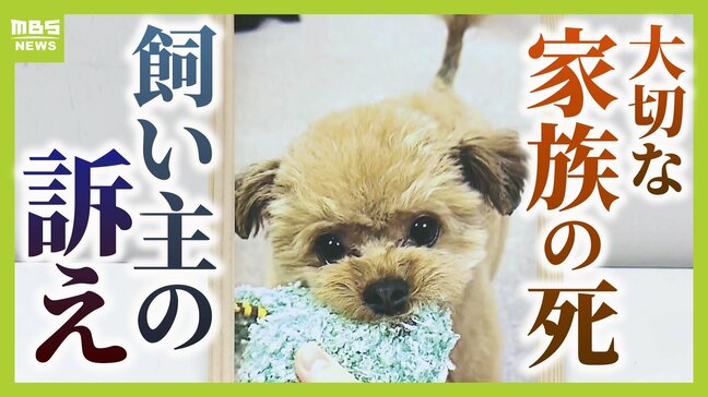 「自分の子と同じくらい、それ以上の愛情を注いでいた。家族と思ってくれる判決を」動物病院で外科手術後に愛犬が衰弱し死ぬ… 飼い主側が院長を提訴「重篤な病態を漫然と見過ごした」 ペットは“物”ではないと訴え|TBS NEWS DIG