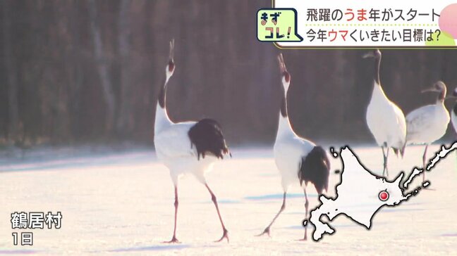 2026年がスタート！北海道各地 人々が集まった場所の新春スケッチ　今年“ウマ”くいきたい それぞれの目標|TBS NEWS DIG