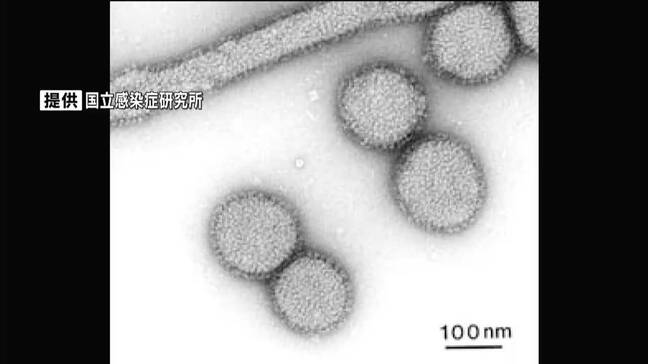 鹿児島県内全域に「インフルエンザ流行発生警報」感染者数は前週の約1.7倍 川薩が最多|TBS NEWS DIG