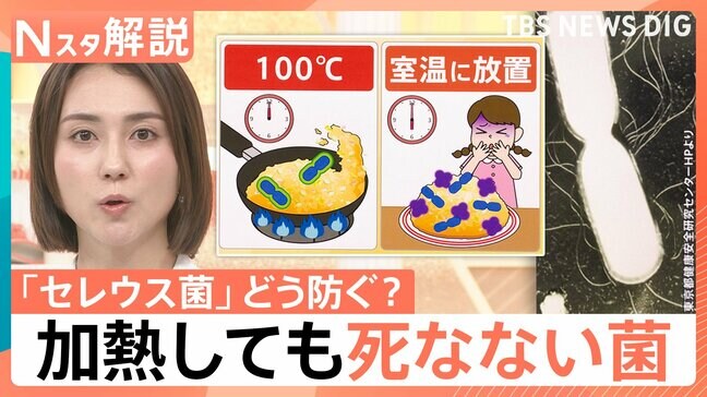 “チャーハン症候群”にご注意! においや味で見分け困難…熱に強い食中毒菌 対策は?【Nスタ解説】|TBS NEWS DIG
