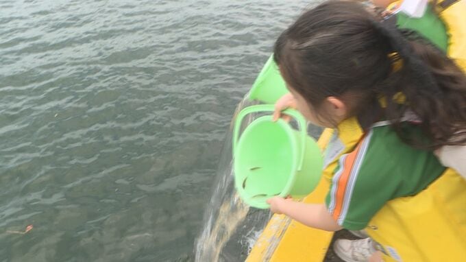 「大きくなって！」園児がマダイの稚魚５０００匹を放流　山口・下関　|　山口のニュース・天気・防災｜tys NEWS｜ｔｙｓテレビ山口