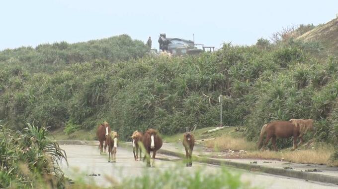 事故起こした陸自オスプレイ　対応決まらず与那国島にとどまる　|　沖縄のニュース｜RBC 琉球放送