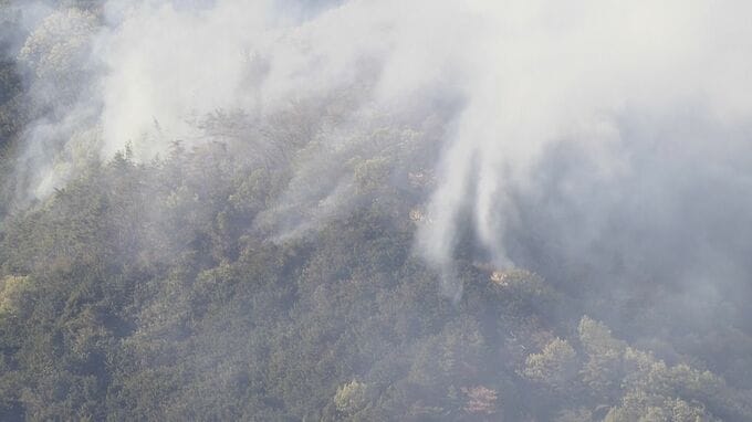 佐野市の山林火災は「鎮圧」　これまでに約2.6ヘクタール焼失　建物火災の火が裏山に燃え広がって発生　栃木県佐野市|TBS NEWS DIG