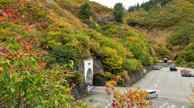 「ホワイトロード」紅葉の最盛期へ 岐阜に新スポット誕生も　|　石川県のニュース｜MRO北陸放送