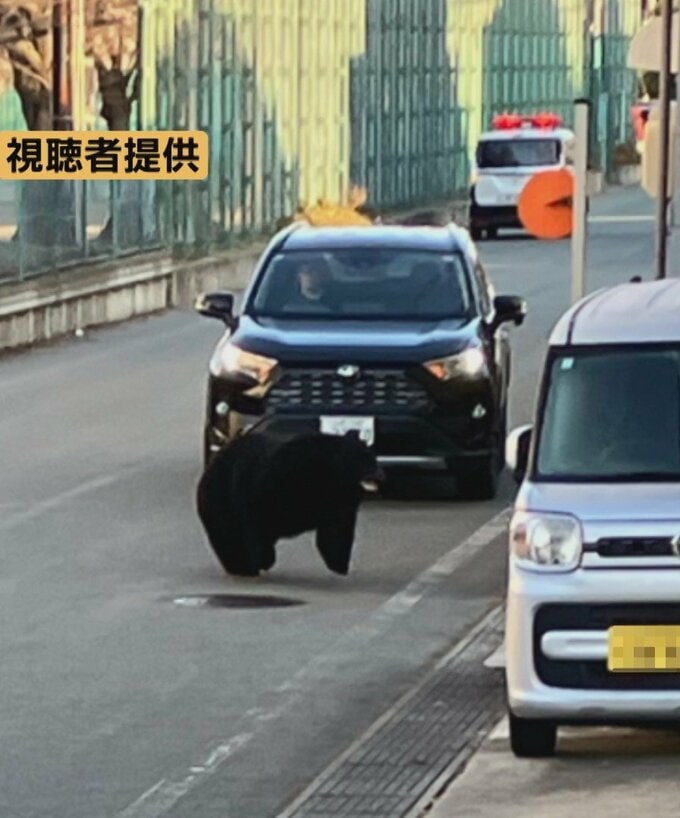 中学校敷地内に入っていくクマの目撃も　けさ山形市街地でクマの目撃相次ぐ|TBS NEWS DIG
