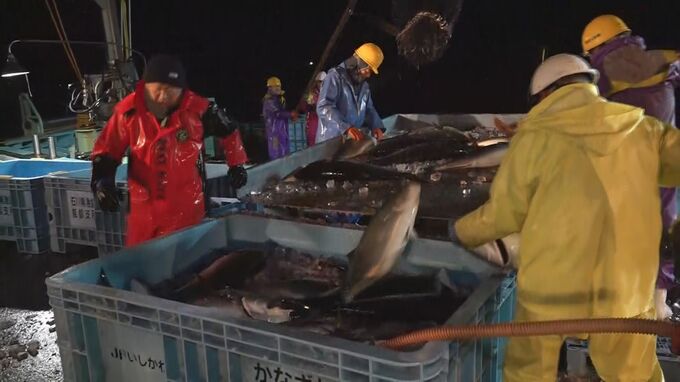 寒ブリ1000本は今年初！被災した漁師の意地の水揚げ…津波被害の石川県能登町|TBS NEWS DIG