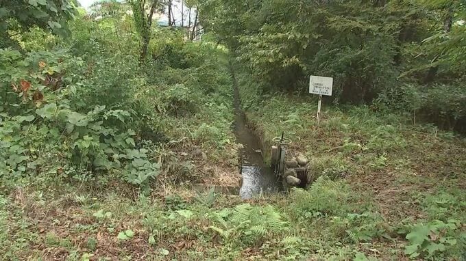 クマに襲われたか　岩手県雫石町の林から男性の遺体発見　キノコ採りに出かけたまま帰宅せず捜索中|TBS NEWS DIG