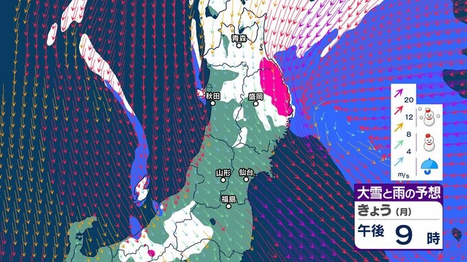 【大雪情報】青森県と岩手県の太平洋側「注意報級の大雪」“元”南岸低気圧が発達　予想より気温低く経過の場合「宮城県の平地でも警報級の大雪」のおそれ　tbc気象台|TBS NEWS DIG