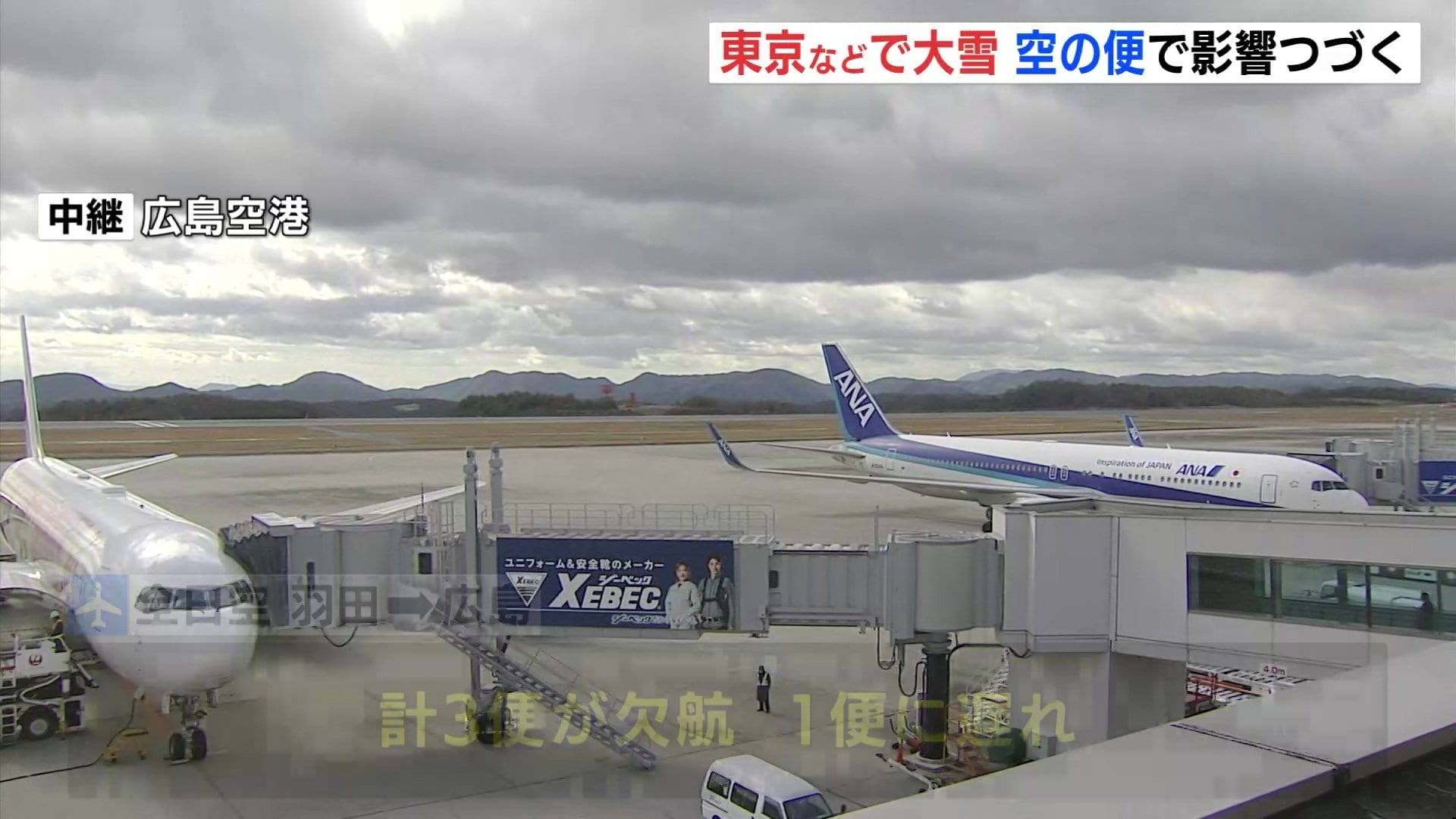 公の場での発言・インタビュー報道記録