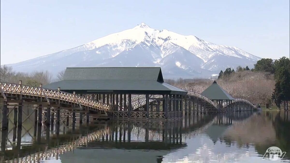 全長300m 木造の三連太鼓橋としては日本一長い鶴田町の「鶴の舞橋