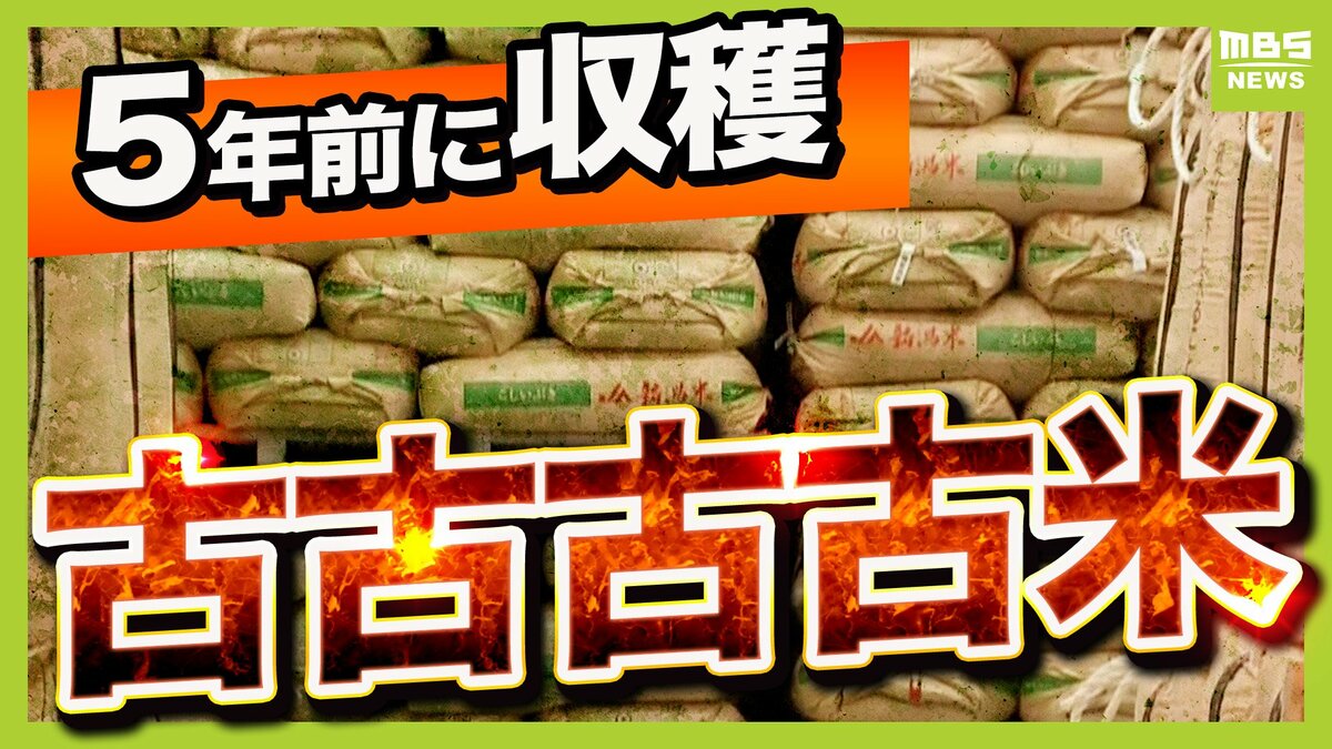 あなたは買う？『古古古古米』ついに放出へ...小泉大臣「コメをじゃぶじゃぶにしていかないと」 気になる味・品質を専門家に聞く【解説 ...