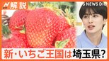 埼玉県 いちごのおいしさ日本一、“いちご王国”栃木に挑む!【Nスタ解説】|TBS NEWS DIG