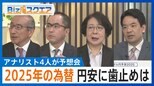 2025年の為替はどうなる?プロ4人が予想 円安に歯止めは…注目キーワードに「格差」「イーロン・マスク」など【Bizスクエア】|TBS NEWS DIG