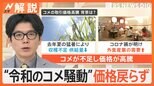 「事件と言って良い」キャベツ高騰で1玉400円超 “令和のコメ騒動”価格戻らず…今買うべき食材は?【Nスタ解説】|TBS NEWS DIG
