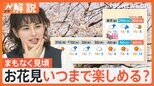 都内の桜 いま何分咲き? 千鳥ヶ淵 靖国神社 上野公園 隅田公園の開花状況は? 見ごろはいつまで?【Nスタ解説】|TBS NEWS DIG