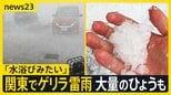 関東各地でゲリラ雷雨…埼玉では大量のひょうも　土曜日も関東から北海道にかけて雷雨のおそれ…天気急変に注意【news23】|TBS NEWS DIG