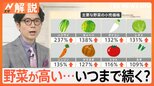 「野菜が高い」食卓を“直撃”…今が旬「春キャベツ」も高騰、不作で旬の「イチゴ狩り」休止に、今後の価格は?【Nスタ解説】|TBS NEWS DIG