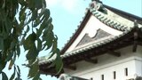 “世紀の大改修”「弘前城」の天守を元の場所に戻す『曳戻し工事』は2026年11月中旬を目途に完了を計画 青森県弘前市 | 青森のニュース│ATV NEWS│青森テレビ